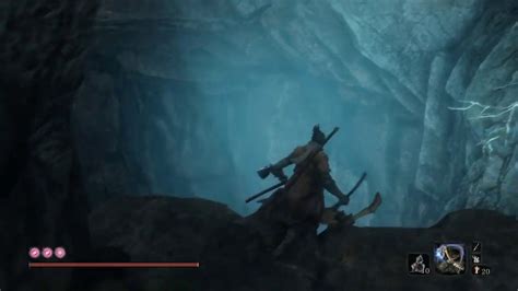 guardian ape's burrow.